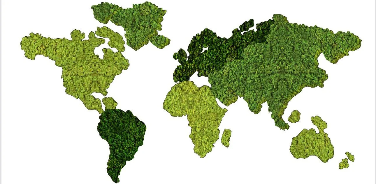 Custom moss wall world map design reference